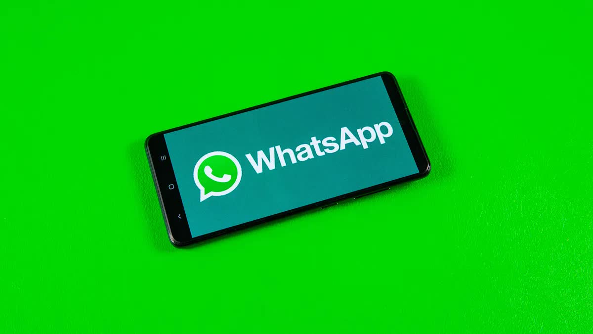 哪款WhatsApp筛号软件适合营销人员使用？推荐飞讯