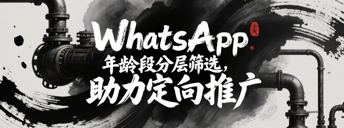 WhatsApp年龄段分层筛选，助力定向推广