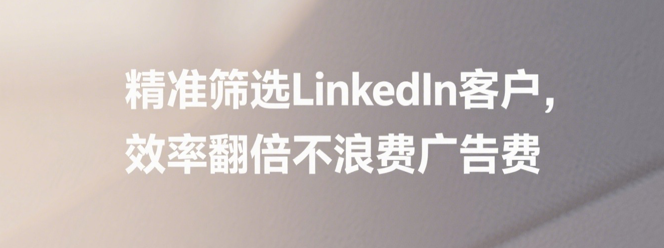 精准筛选LinkedIn客户，效率翻倍不浪费广告费